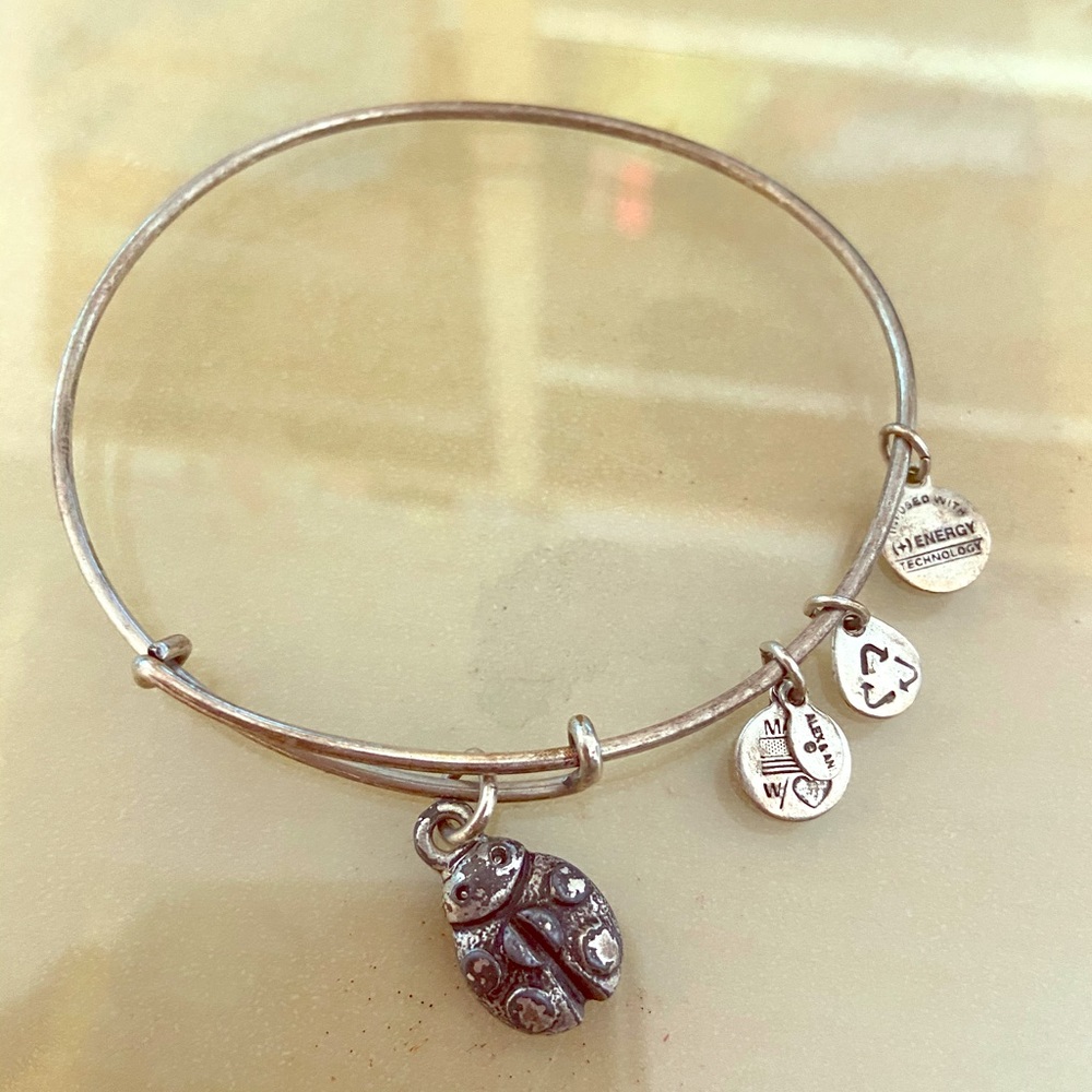 Alex and Ani silver lady bug 🐞 charm bracelet